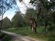 Biała Woda , Małe Pieniny